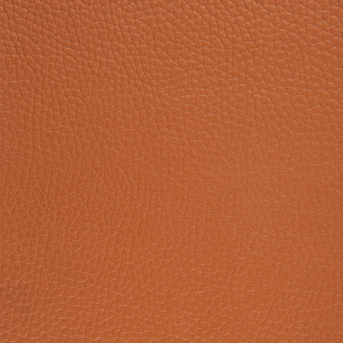 Seascape Marine Diamond and Carbon Fiber