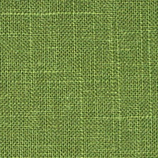 D2709-23 Apple Green