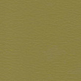 Neo Fabrics Inc