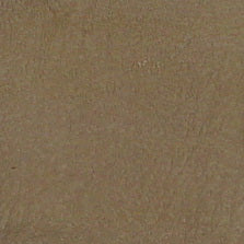 MTC-7043 Med Neutral