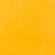 NR-304 Yellow