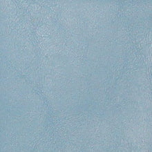NR-306 Baby Blue