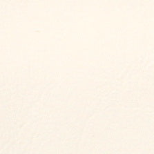 SBD-138 Seashell