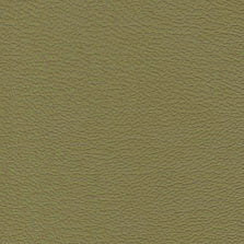 SH- 7689 Med Lt. Stone