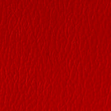 US-360 American Beauty