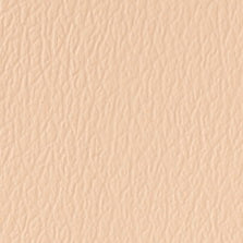 US-502 Coral Sand