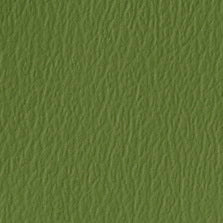 US-529 Olive Green